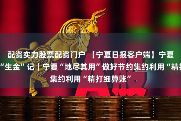 配资实力股票配资门户 【宁夏日报客户端】宁夏沉睡资源“生金”记｜宁夏“地尽其用”做好节约集约利用“精打细算账”